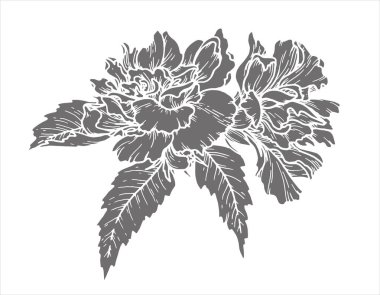 Çiçeğin yapraklı silueti botanik vektör çizimi. Çalı dallı el çizimi çiçek elementi. Ters çevirme biçimi ve ürün paketleme tasarımında grafik kaynağı oluşturmak için mükemmel.