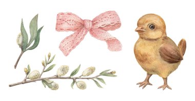 Pembe fiyonklu ve söğüt çiçekli sevimli sarı bir pilicin yer aldığı klasik Paskalya seti. Güzel desenli suluboya gerçekçi bir el çizimi. Kart tasarımı için mükemmel. Şenlikli dekor ve nostalji için ideal..