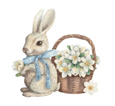 Beyaz çiçek sepeti ve mavi yaylı suluboya resimli Paskalya tavşanı. Buketli neşeli şirin tavşan. El çizimleri tatil tasarımı için idealdir. Bahar tebrik kartı şablonu.