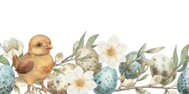 Paskalya aralıksız sınırı. Şirin bir piliç ve bıldırcın yumurtası. Klasik tarzda. Çiçek ve çimlerin elle çizilmiş suluboya tasarımı. Kart şablonu için grafiksel baskı ideal. Bahar tatili için mükemmel..