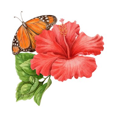 Hibiscus çiçeği ve Kral kelebeği yaz aranjmanı. Çiçek ve yapraklı el yapımı suluboya resim. Tatil titreşimi grafik elementi. Yaz kartı şablonu ve tatil sezonu tasarımı için mükemmel.