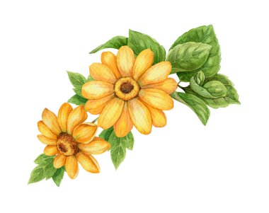 Sarı güneşli çiçek, küçük buket uzatılmış düzenleme. Çiçekli ve yapraklı el yapımı suluboya resim. Tatil titreşimi grafik elementi. Yaz kartı şablonu ve tatil sezonu tasarımı için mükemmel.