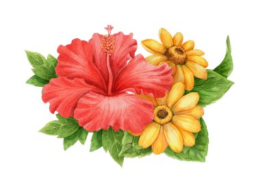 Kırmızı Hibiscus çiçeği ve ayçiçeği küçük buket düzenleme. Çiçek ve yapraklı el yapımı suluboya resim. Tatil titreşimi grafik elementi. Yaz kartı şablonları ve tatil sezonu tasarımı için mükemmel.