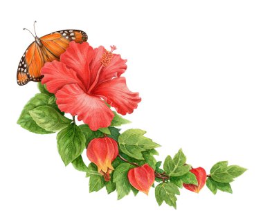Aborjinli Hibiscus çiçeği ve Kral Kelebeği yaz aranjmanı. Yapraklı el yapımı suluboya resim. Tatil grafik elementi. Yaz kartı şablonu ve tatil sezonu tasarımı için mükemmel.