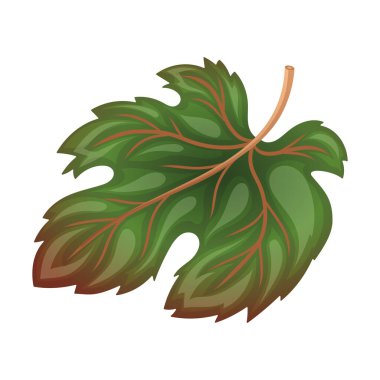 Üzüm yaprağı yeşili yapraklar vektör karikatür tarzında. Neşeli tasarımda canlı bir sonbahar detayı. Şükran Günü kartları ya da sonbahar baskısı için harika. Mevsimlik hasat ve dekorasyon için mükemmel..