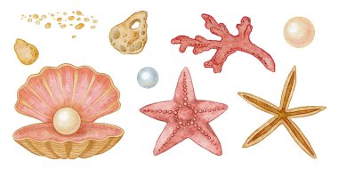 Seashell with pearl and starfish set in watercolor illustration. Pink red coral with sandy stone details in hand drawn pencil sketch style. Great for marine summer print or card and coastal projects.