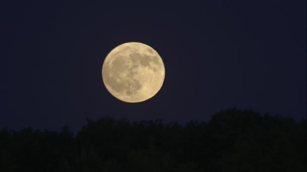 Захватывающее Видео Луной Колеблющейся Теплых Воздушных Потоках Установленное Фоне Глубокого — стоковое видео