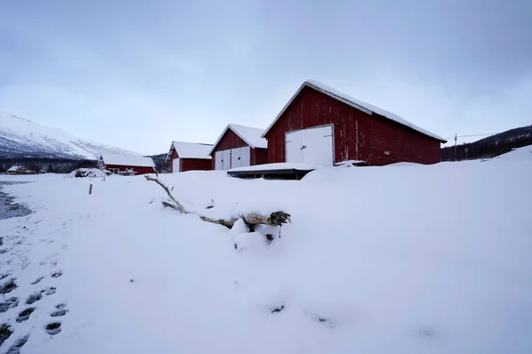 Snöig Kustlinje Och Fiskarstuga Vid Mortenhals Stad Tromso Norge — Stockfoto