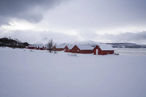 Karlı Sahil Şeridi Tromso Norveç Teki Mortenhals Kasabasındaki Balıkçı Evi — Stok fotoğraf
