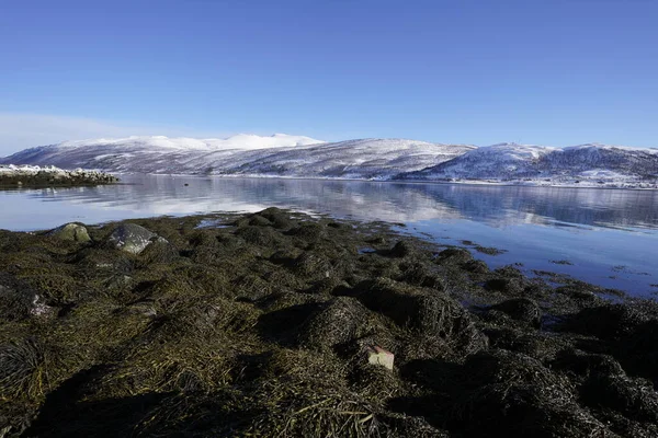 トロンソの北ノルウェー海の山の反射 — ストック写真