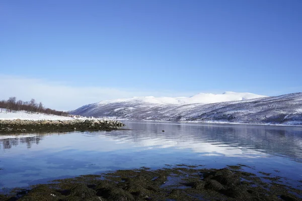 Refleksi Gunung Utara Utara Laut Tromso — Stok Foto