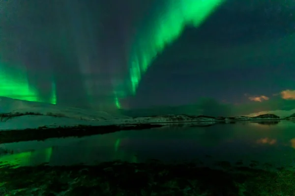 Aurora Boreal Luces Boreales Tromso Noruega —  Fotos de Stock