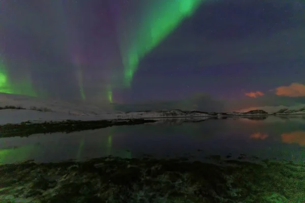 Zorza Polarna Zorza Polarna Tromso Norwegia — Zdjęcie stockowe