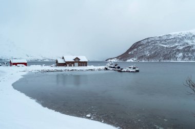 Tromso fiyortlarında karlı doğa manzarası