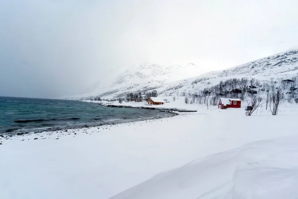 Zasněžená Krajina Tromso Fjordech — Stock fotografie