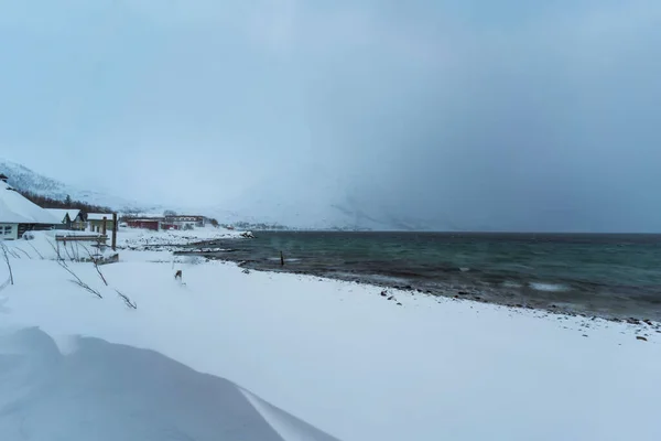 Bela Paisagem Inverno Natureza Tromso — Fotografia de Stock