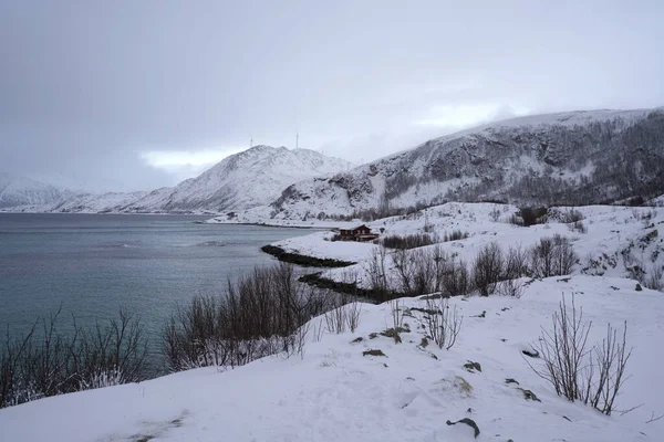 Gyönyörű Téli Táj Természet Tromso — Stock Fotó