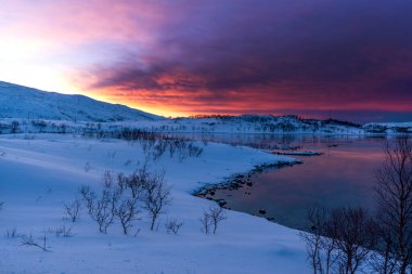 Tromso 'da karlı doğa ve gün batımı