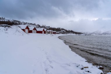 Tromso 'nun karlı doğasında ev ve dağın deniz üzerindeki yansıması.