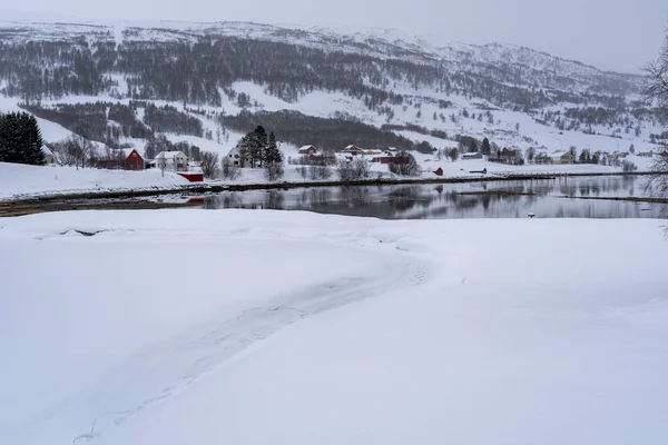 Отражение Дома Горы Море Снежной Природе Tromso — стоковое фото