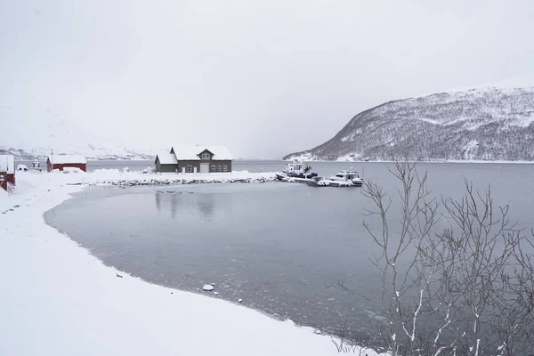 Tromso Norveç Karlı Doğa Manzarası — Stok fotoğraf