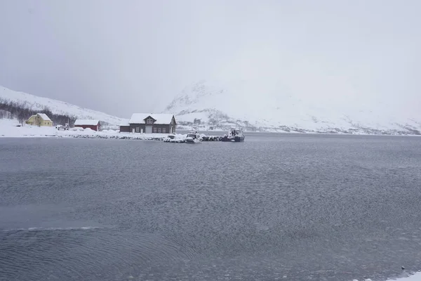 Besneeuwd Natuurlandschap Uitzicht Tromso Noors — Stockfoto
