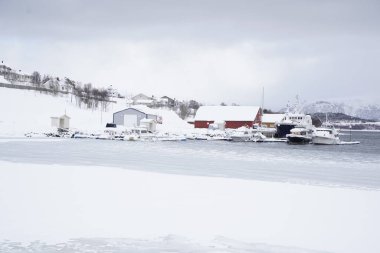 Tromso 'da kış manzarası karlı manzara