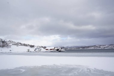 Tromso 'da kış manzarası karlı manzara