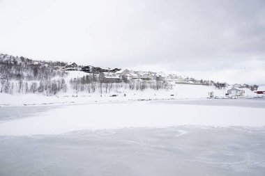 Tromso 'da kış manzarası karlı manzara