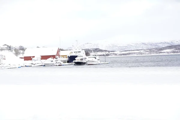 Scena Invernale Paesaggio Innevato Tromso — Foto Stock