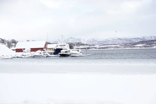 Зимняя Сцена Снежный Пейзаж Tromso — стоковое фото