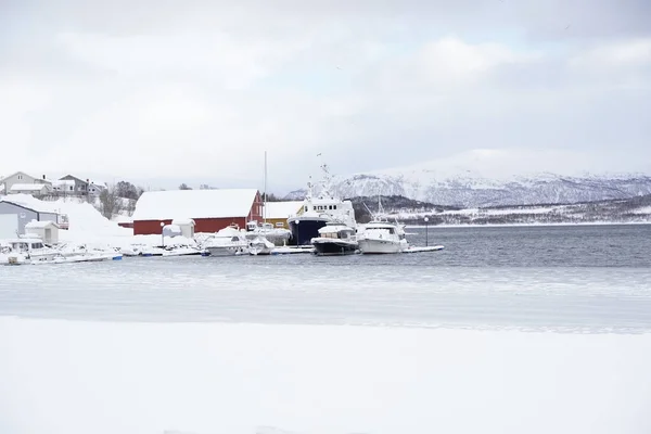 Vinter Scen Snöigt Landskap Tromso — Stockfoto