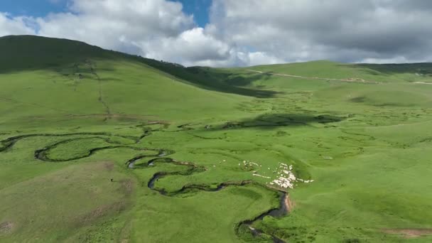 Luchtfoto Plateau Meander Rivieren Schapen Prachtige Natuur Bewolkte Hemel — Stockvideo