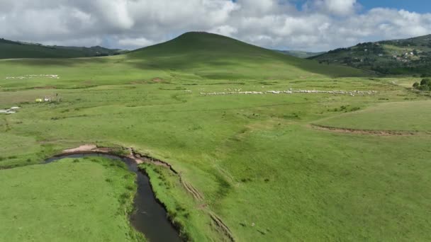 Hava Manzaralı Plato Kıvrımlı Nehirler Koyunlar Güzel Doğa Bulutlu Gökyüzünde — Stok video