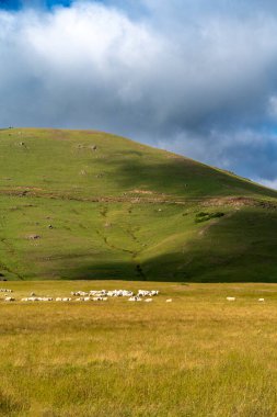 peyzajlı doğa yaylası ve gökyüzü bulutları