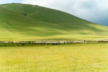 peyzajlı doğa yaylası ve gökyüzü bulutları