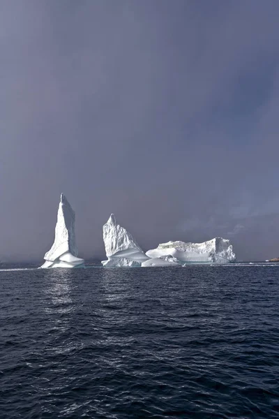 Gletscher Arktischen Ozean Grönländische Fjorde — Stockfoto