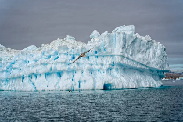 Vue Aérienne Iceberg Groenland Sur Océan Arctique — Photo