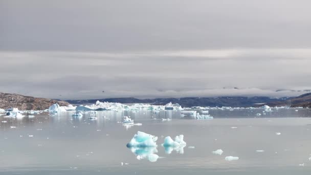 Vista Aérea Del Glaciar Masivo Fiordo Groenlandia — Vídeo de stock
