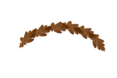 Beyaz arkaplanda kahverengi yapraklar