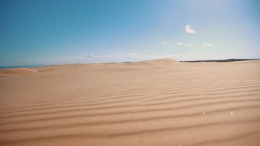 Worimi Reigonal Park, Port Stephens, New South Wales, Avustralya 'daki Stockton Kum Kum tepelerinde Sunrise' ın görüntüleri.