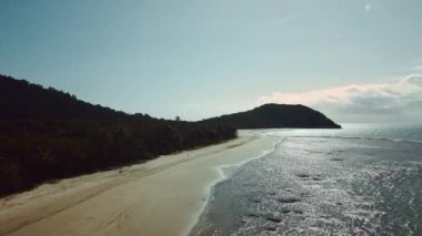Queensland, Avustralya 'da yağmur ormanı nehri. Manzaralı insansız hava aracı 4K UHD 'de doğa belgeseli yayınladı. Sinema, cennet gibi tropik yemyeşil orman deniz kenarında.