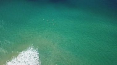 Bir grup sörfçü Gold Coast 'ta büyük bir dalganın üzerinde kürek çekiyor. Cesur ve korkusuz soğuk su sörfçüsü büyük güçlü dalgalarda yüzer, mükemmel sörf noktasına ulaşmak için kürek çeker.