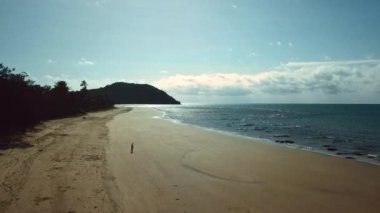 Queensland, Avustralya 'da yağmur ormanı nehri. Manzaralı insansız hava aracı 4K UHD 'de doğa belgeseli yayınladı. Sinema, cennet gibi tropik yemyeşil orman deniz kenarında.