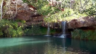 Fern havuzu, Karijini Ulusal Parkı, Batı Avustralya