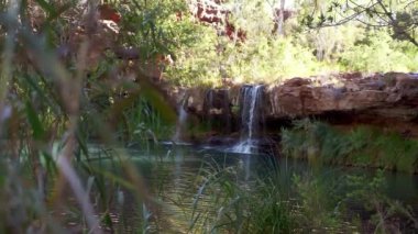 Fern havuzu, Karijini Ulusal Parkı, Batı Avustralya