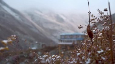 Hillside Lodge, Chabarbu, Annapurna Pisti, Nepal. Annapurna, Nepal 'deki Thorung La Yüksek Kampı yakınlarındaki bir dağın zirvesinde rüzgarda dalgalanan dua bayrakları.