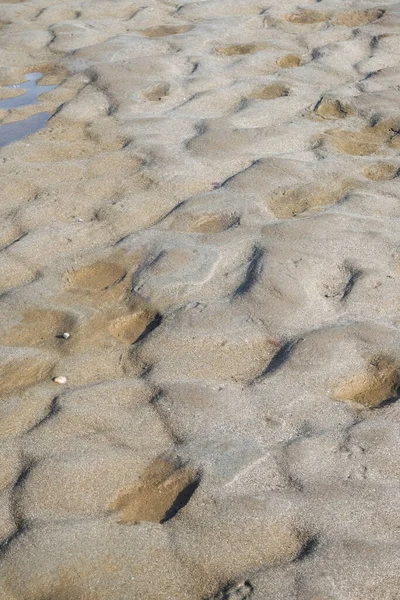 Suchá Lagunová Půda Vlnitým Pískem Granulovanými Tvary Trochou Mořské Vody — Stock fotografie