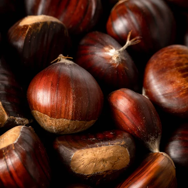 Kestanelere yakından bak, tarımsal hasat konsepti. Sağlıklı, mevsimlik yiyecekler.