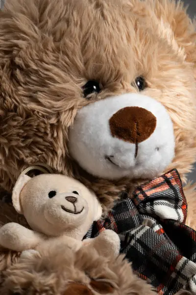 İki oyuncak ayı, arkadaşlık konsepti, ebeveynlik...